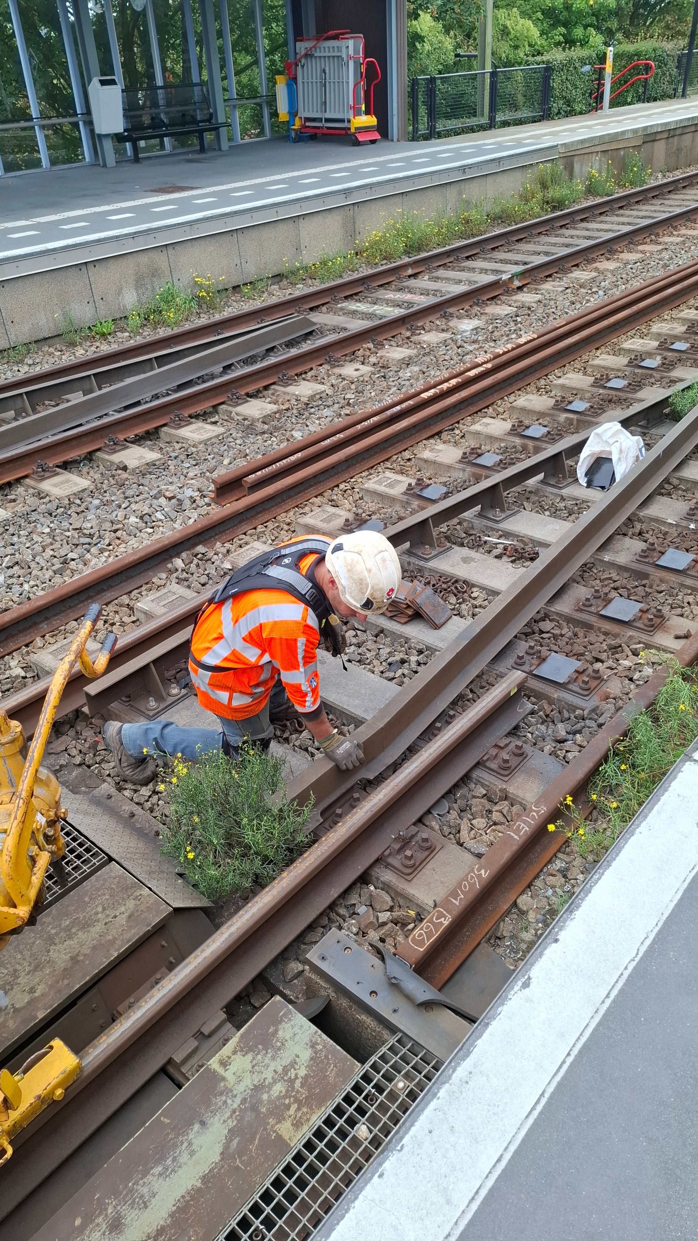 Skelex Edge: A Back Exoskeleton Designed to Naturally Strengthen Your Back-thumbnail