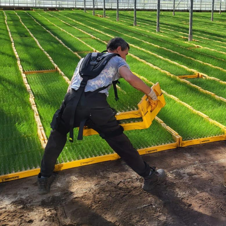 Skelex Edge: A Back Exoskeleton Designed to Naturally Strengthen Your Back-thumbnail