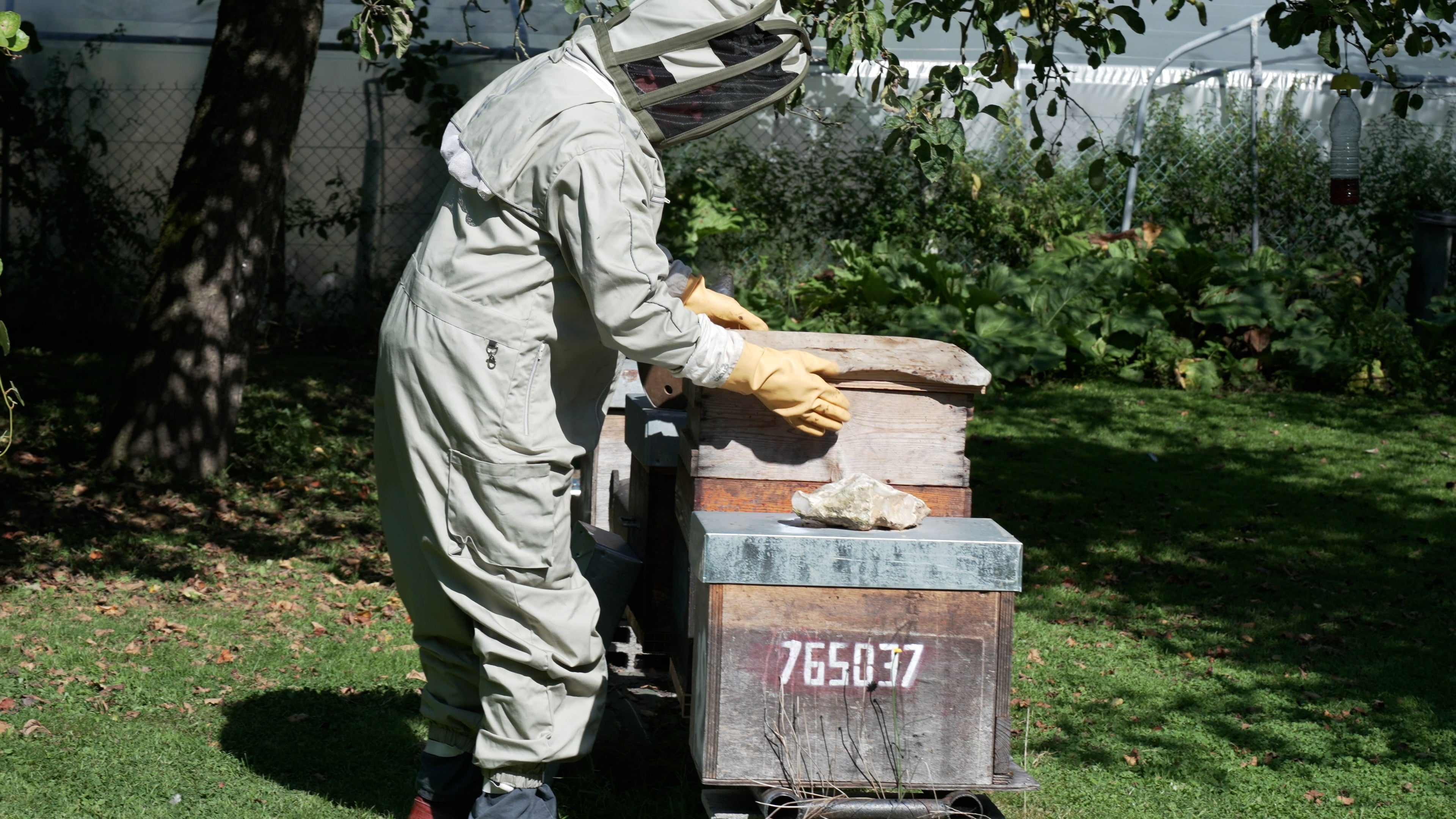 HAPO BACK – Passive Back Support Exoskeleton-thumbnail